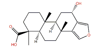 Ceylonin H